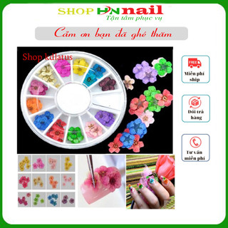 Khay hoa khô tròn đắp ẩn gel trang trí móng nghệ thuật làm đẹp nail mi art phun xăm shop hnnail