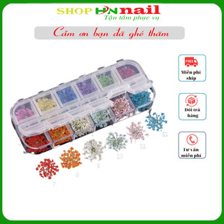 Sét Khay Hoa khô nhí (hoa khô chùm) siêu xinh chăm sóc trang trí móng làm đẹp nail spa shop hnnail