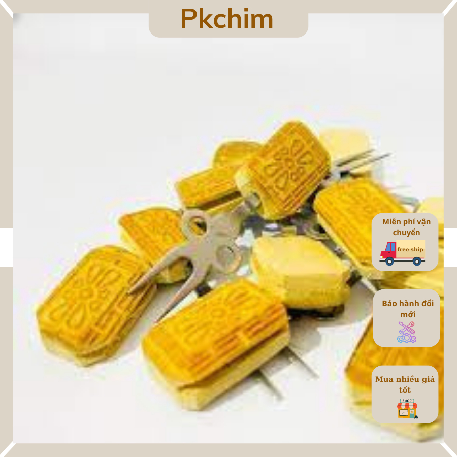 Xiên hoa qua triện laze xiên hoa quả chim chào mào