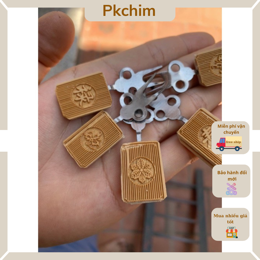 Xiên hoa qua triện laze xiên hoa quả chim chào mào