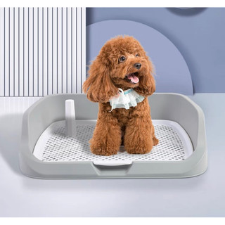 Khay vệ sinh cho thú cưng size to tặng kèm cột