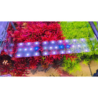 Mạch led 5054-UVA