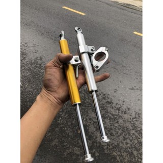 Trợ lực sườn MATRIS , RIZOMA
