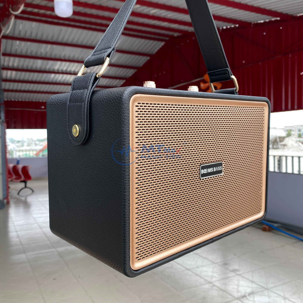 Loa Bluetooth Karaoke M4202 – Loa Xách Tay Kèm 2 Micro Không Dây, Thiết Kế Đẹp Mắt Và Chất Lượng Âm Thanh Xuất Sắc