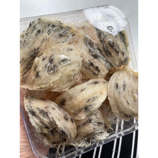 Tổ yến thô khánh hoà