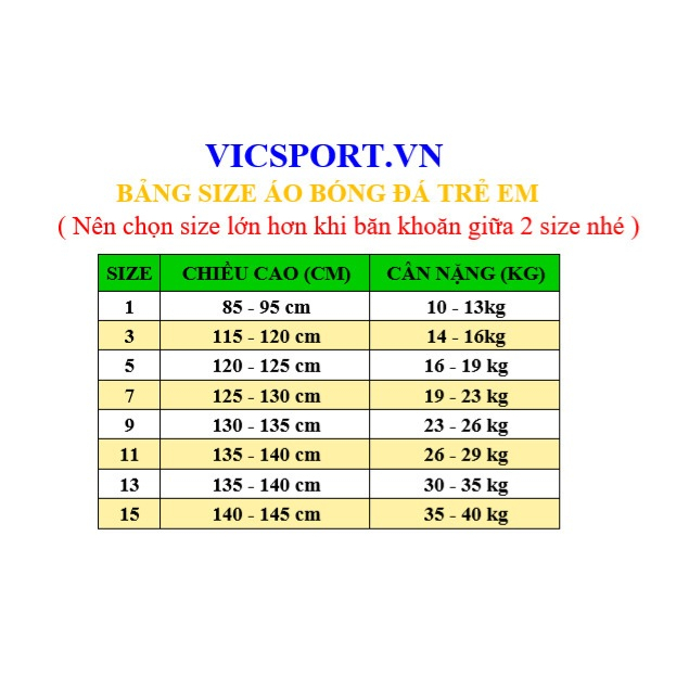 Áo Bóng Đá Trẻ Em, Áo Đá Banh Cho Bé CLB Liver 2022 - 2024 Thun Lạnh Đủ Màu HP -Vicsport