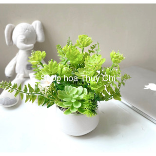 Chậu cây mini để bàn / chậu gốm sứ kèm cây nhựa decor nhà cửa homestay