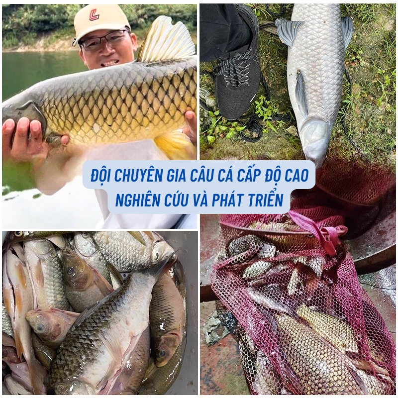 Mồi xả tạo ổ Lưu Chí Cường gói 800g / 16 viên