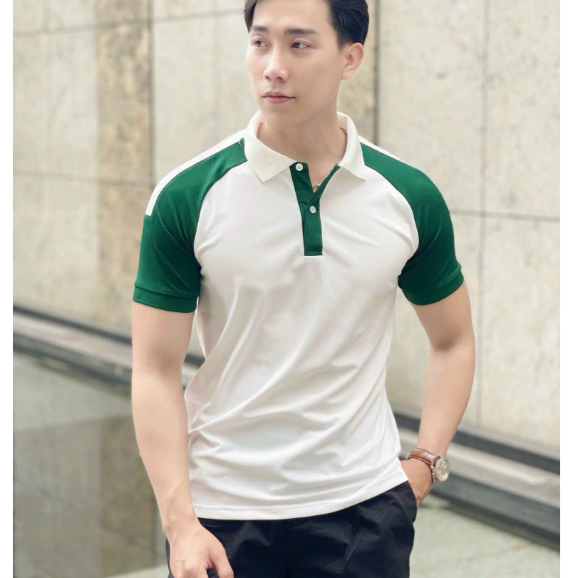 Áo thun polo nam phối màu, vải mềm mịn, thun cá sấu thoáng mát - HK251