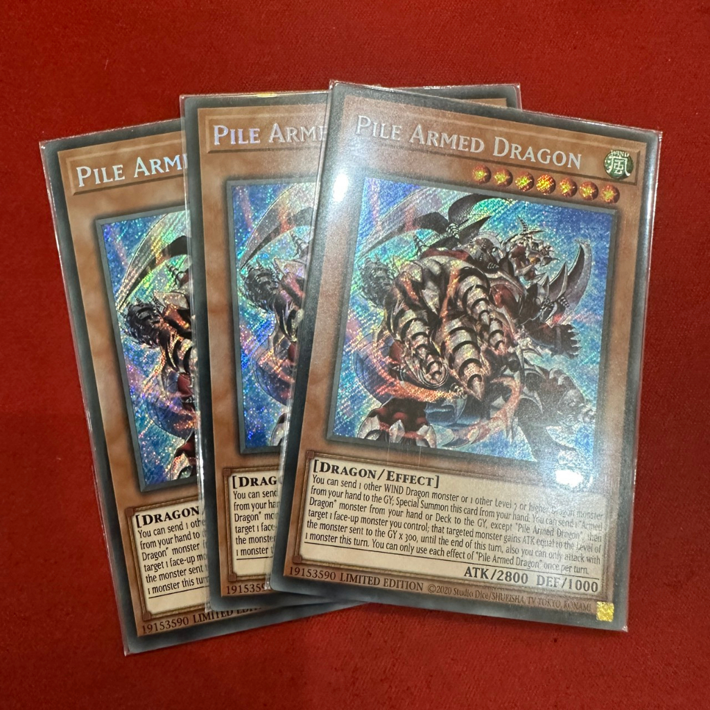 Pile Armed Dragon