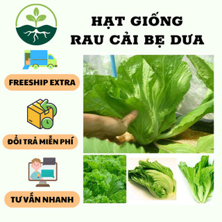 Hạt giống rau Cải bẹ dưa - 1 gói 20gr