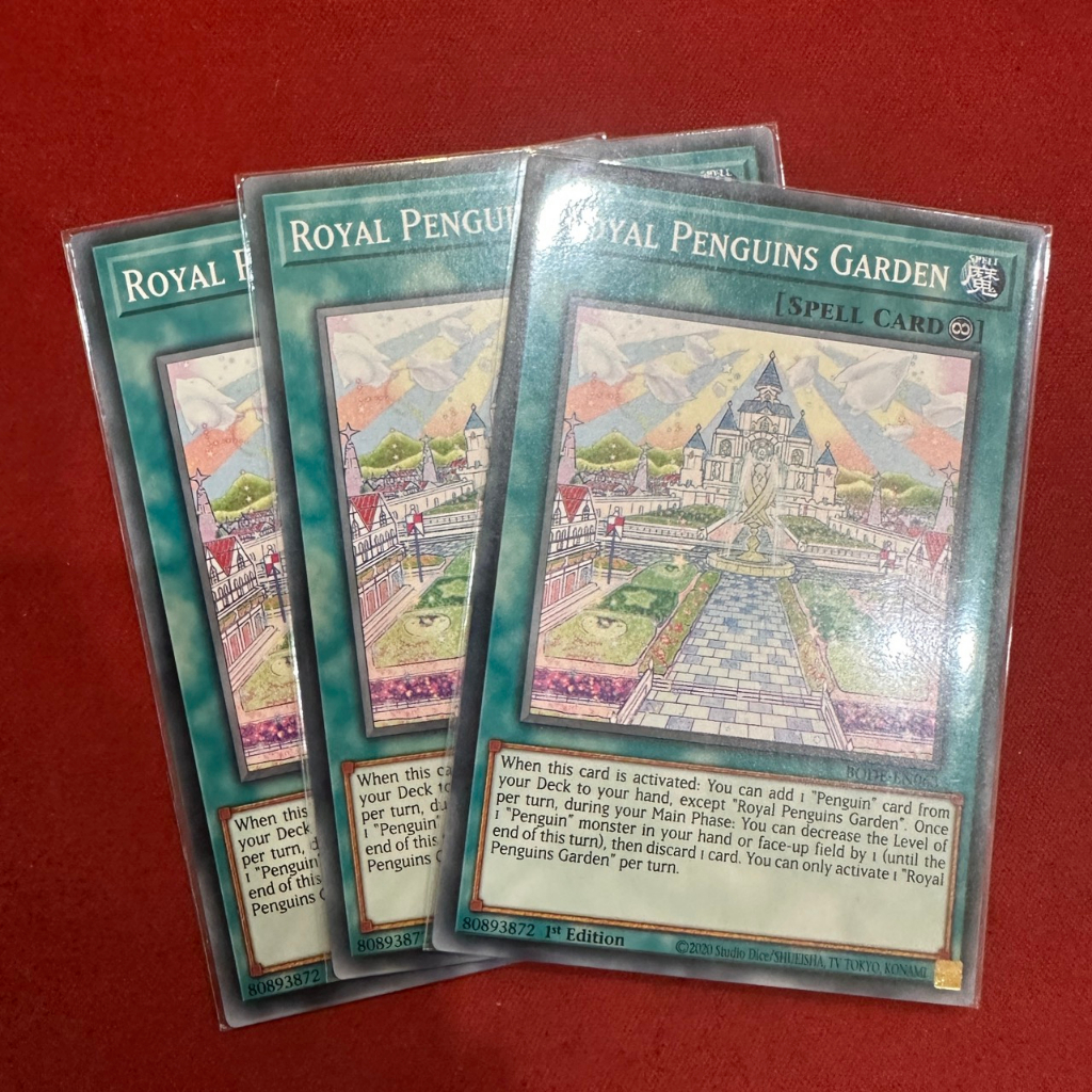 Royal Penguins Garden