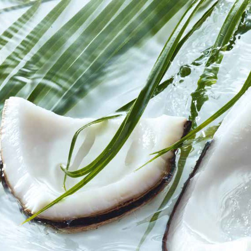 Sữa tắm Yves Rocher DỪA 400ml