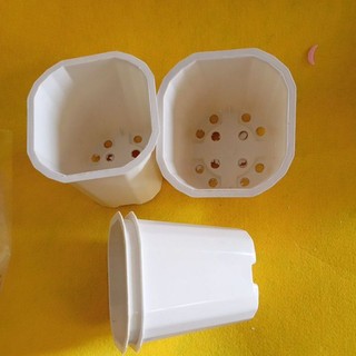 Chậu nhựa cắm hoa, trồng hoa