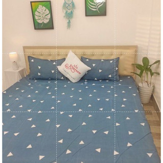 Bộ Chăn ga gối 3 món vải cotton TC 914 Shop Kingroom chuyên ga trải giường