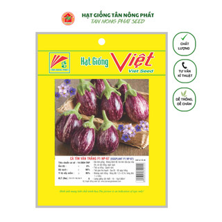 Hạt giống cà tím vân trắng f1 np 67_gói 0,5gr