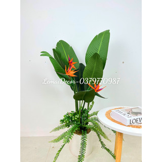 Cây thiên điểu 1m20, Cây giả decor trang trí nhà cửa nội thất phòng khách phòng ngủ