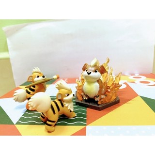 [Tổng hợp] Growlithe Evolution Collection