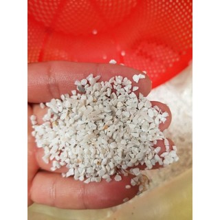 Cát trắng thủy sinh hàng size vừa bao 1kg - trải nền hồ cá
