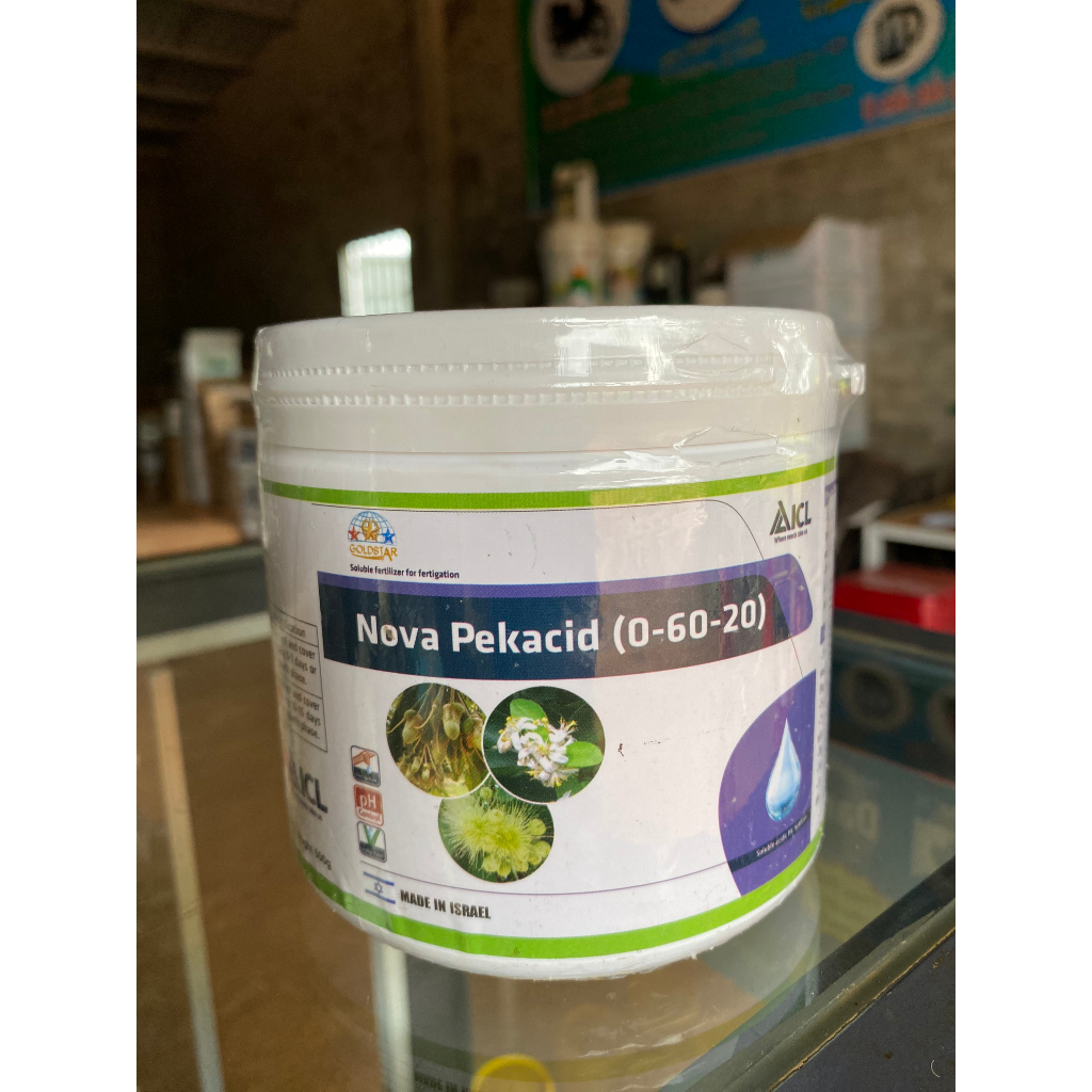 TẠO MẦM HOA, KÍCH THÍCH RA HOA NOVA PEKACID 0-60-20 ISRAEL - HŨ 500GR