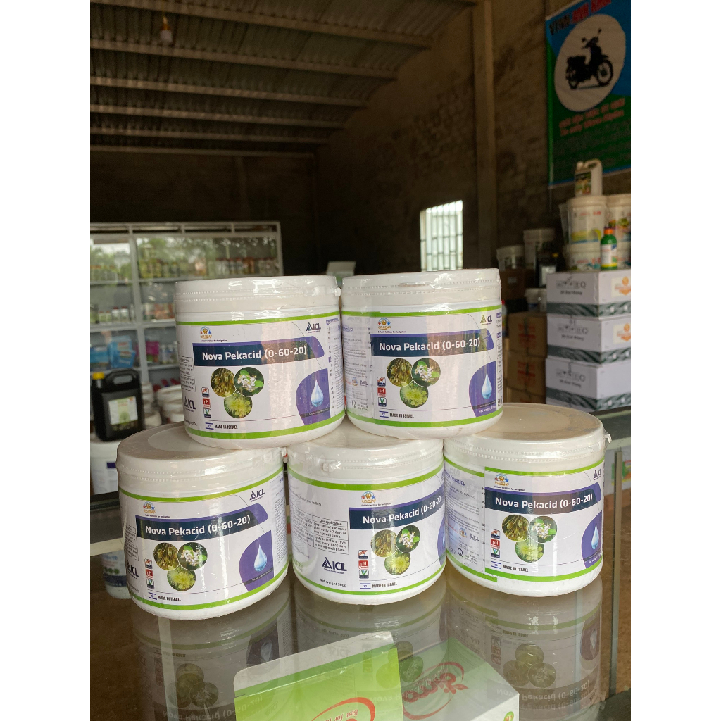 TẠO MẦM HOA, KÍCH THÍCH RA HOA NOVA PEKACID 0-60-20 ISRAEL - HŨ 500GR