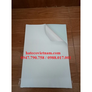 Giấy Decan/ Đề can A4 đế xanh nhám - Decal nhám Thái