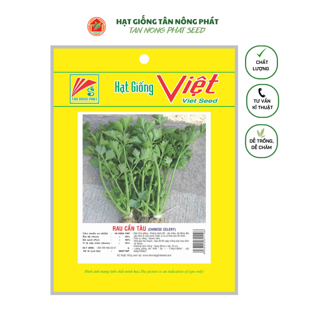 Hạt giống Rau Cần Tàu 2GR