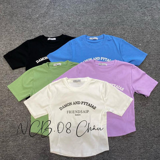 THE QUAO - Áo Thun CropTop In Chữ 5 Màu BC800