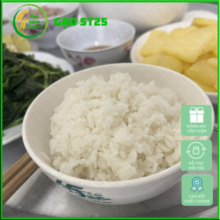 Gạo ST25 đặc biệt thơm ngon