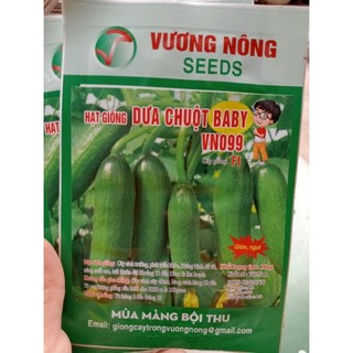Hạt giống dưa chuột Baby