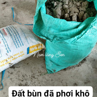 5kg đất bùn trồng sen súng loại đất phù sa, phơi khô và đất ước bảo đảm tốt cho sen súng.