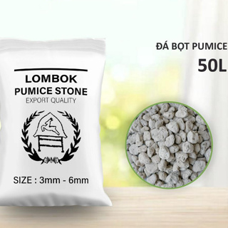 1KG Đá Bọt Núi Lửa Pumice Indonesia Giá Thể Trồng Lan, Bonsai, Hoa