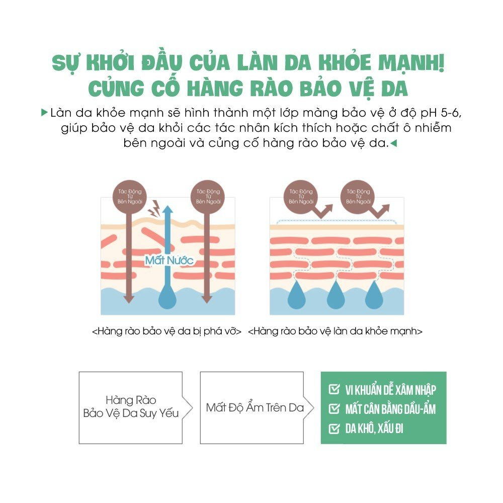 Nước Hoa Hồng Rau Củ Xanh Phục Hồi Da Graymelin Green Food Toner 500ml