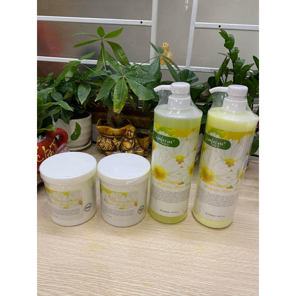 Bộ Chăm Sóc Da Cơ Bản Hoa Cúc 1 Chai Sữa Rửa,1 Kem Massage,1 Tẩy Da Chết,1 Nước Hoa Hồng Chính Hãng