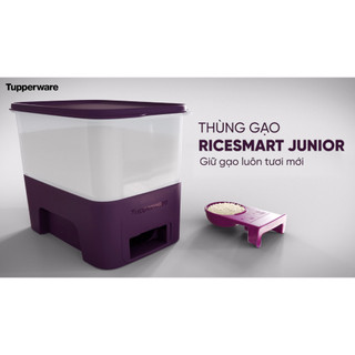 Thùng gạo 10kg-Rice smart Tupperware