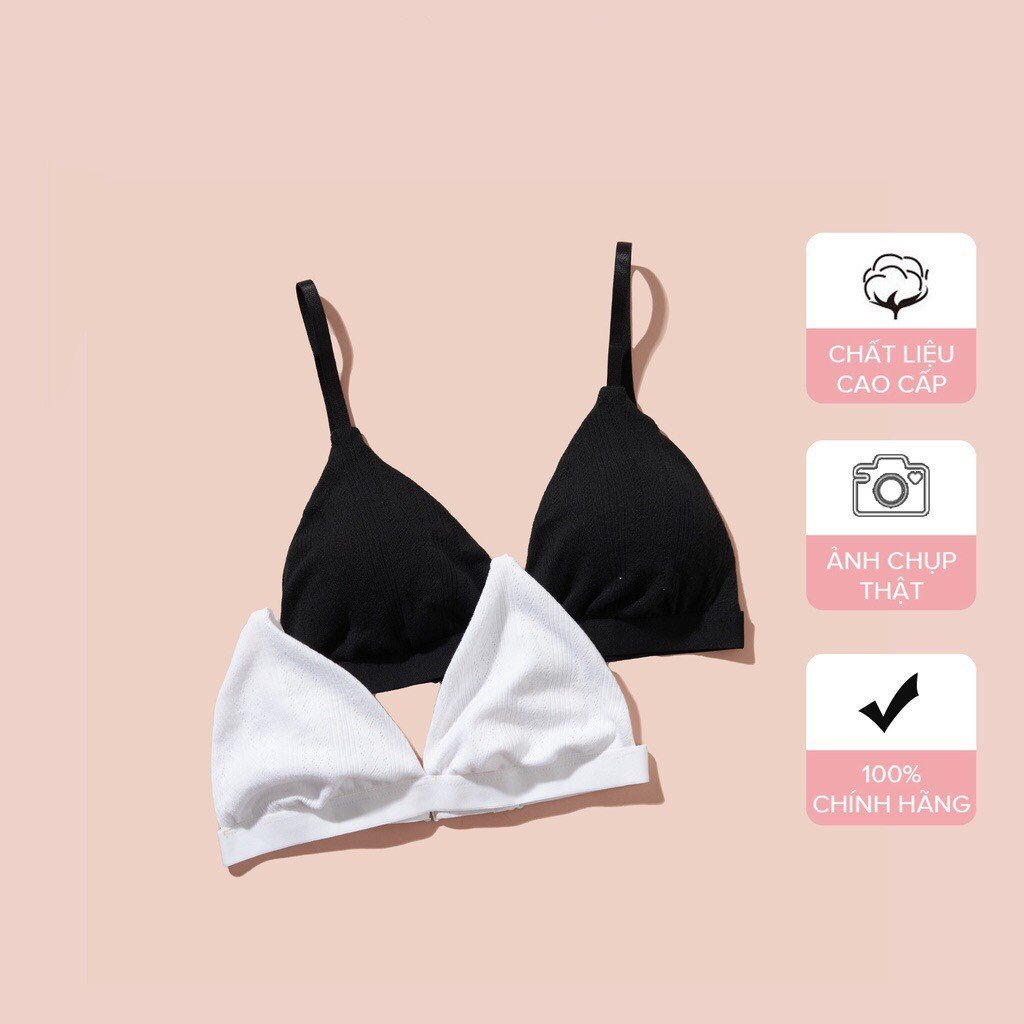 Áo lót Bra nữ cotton màu đen không gọng có mút đệm mỏng ALA BRALETTE