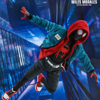 Mô hình hottoys 1/6 mms-567: miles morales