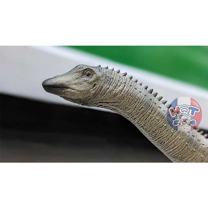 Mô Hình Khủng Long Diplodocus Rebor tỉ lệ 1/35 chính hãng