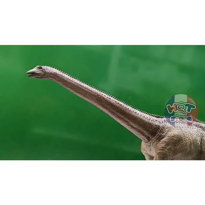 Mô Hình Khủng Long Diplodocus Rebor tỉ lệ 1/35 chính hãng