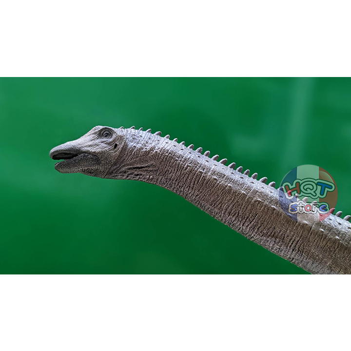 Mô Hình Khủng Long Diplodocus Rebor tỉ lệ 1/35 chính hãng