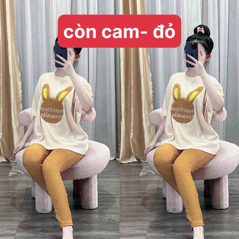 Set Bộ Xốp Nhún Áo Phông Đầu Micky Lưng Xẻ Tà + Quần Ống Ôm