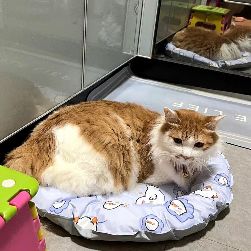 Thảm điều hoà - thảm làm mát cho thú cưng 8-15kg🐶😻