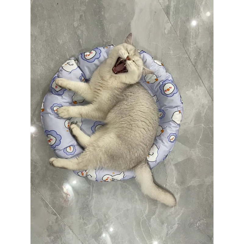 Thảm điều hoà - thảm làm mát cho thú cưng 8-15kg🐶😻