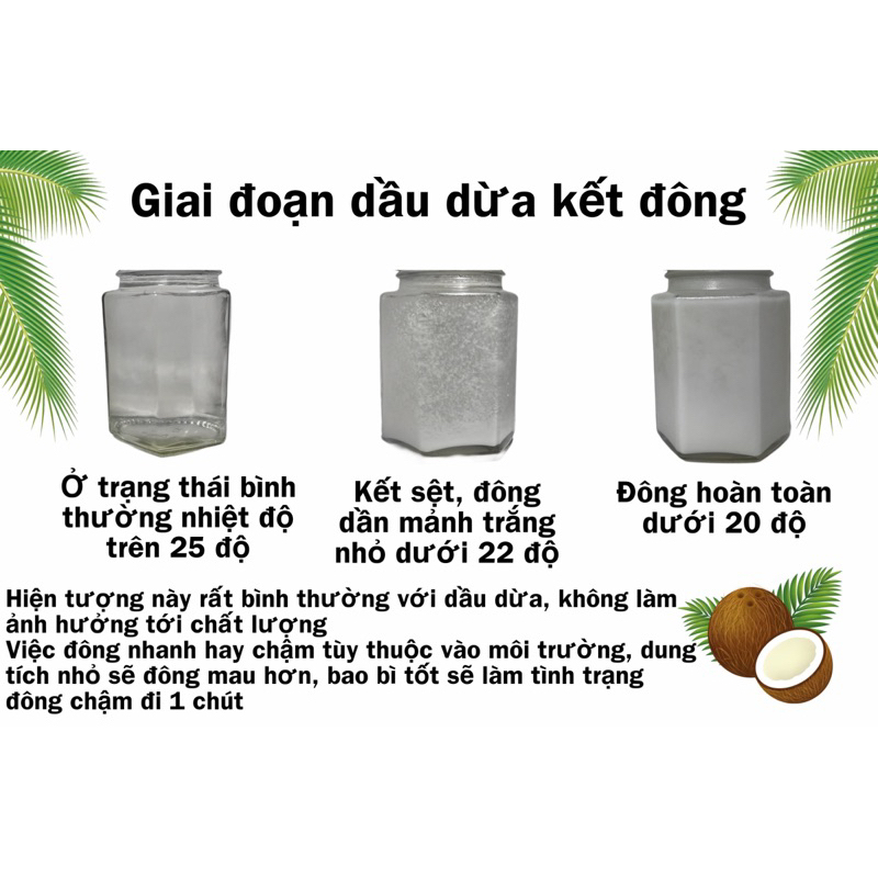 Dầu dừa Nguyên Chất Ép Lạnh,  Coco island 500ml