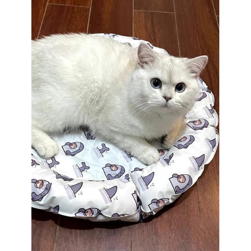 Thảm điều hoà - thảm làm mát cho thú cưng 8-15kg🐶😻