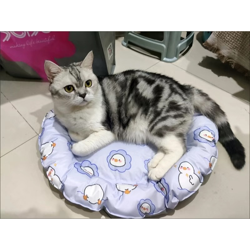 Thảm điều hoà - thảm làm mát cho thú cưng 8-15kg🐶😻