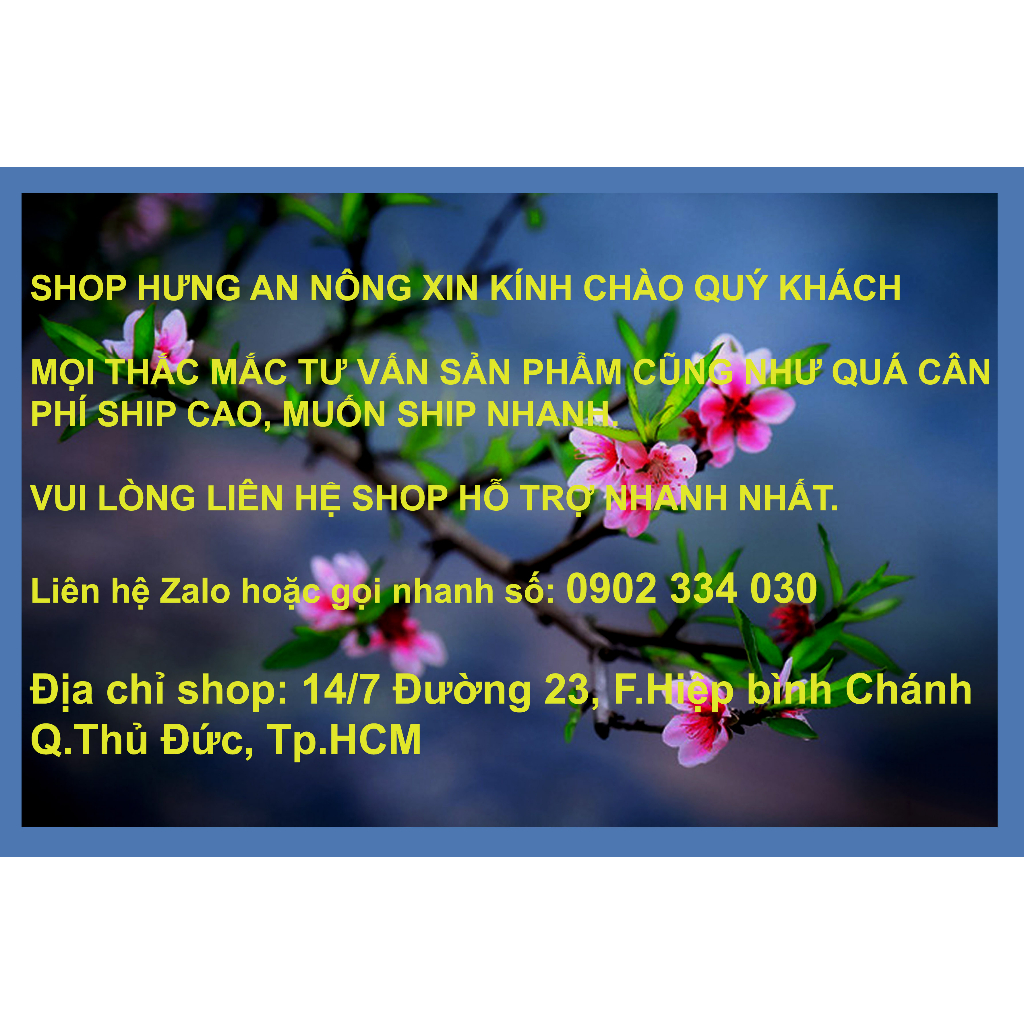 Bao 40 lít đá pumice đá bọt nhập khẩu Indonesia, trồng sen đá xương rồng bonsai