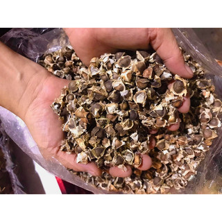 Hạt chùm ngây sấy khô 500g
