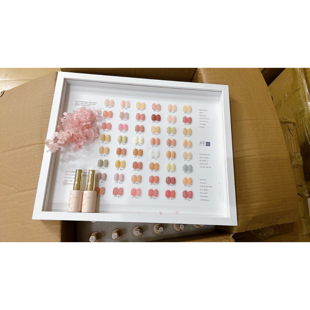 Sét thạch 48 màu XINYOULI tặng kèm bảng màu , mẫu chai đẹp ,đủ tông màu , chất sơn đặc mượt hàng chính hãng