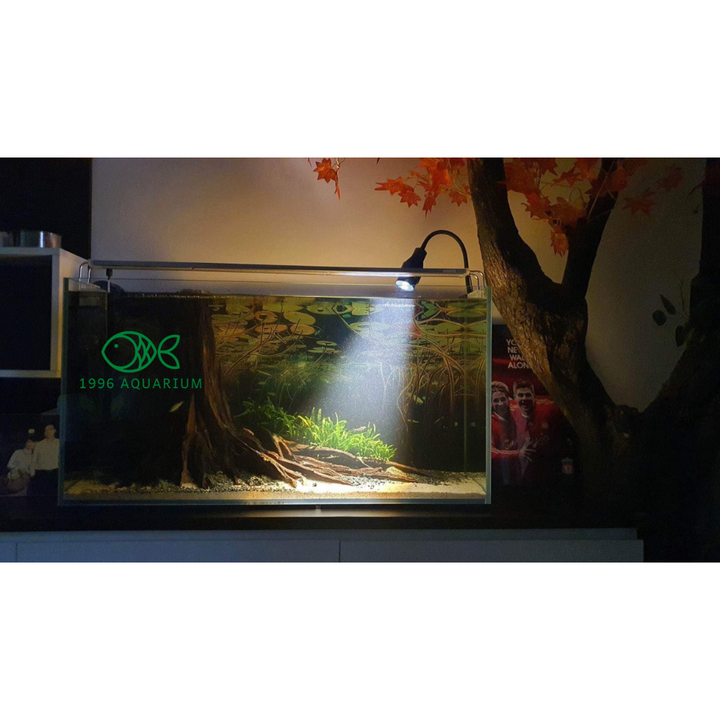 Đèn rọi Spot Light chỉnh góc 3 chế độ màu 15W